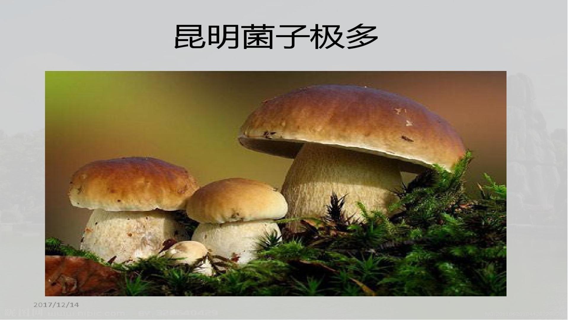 17.jpg