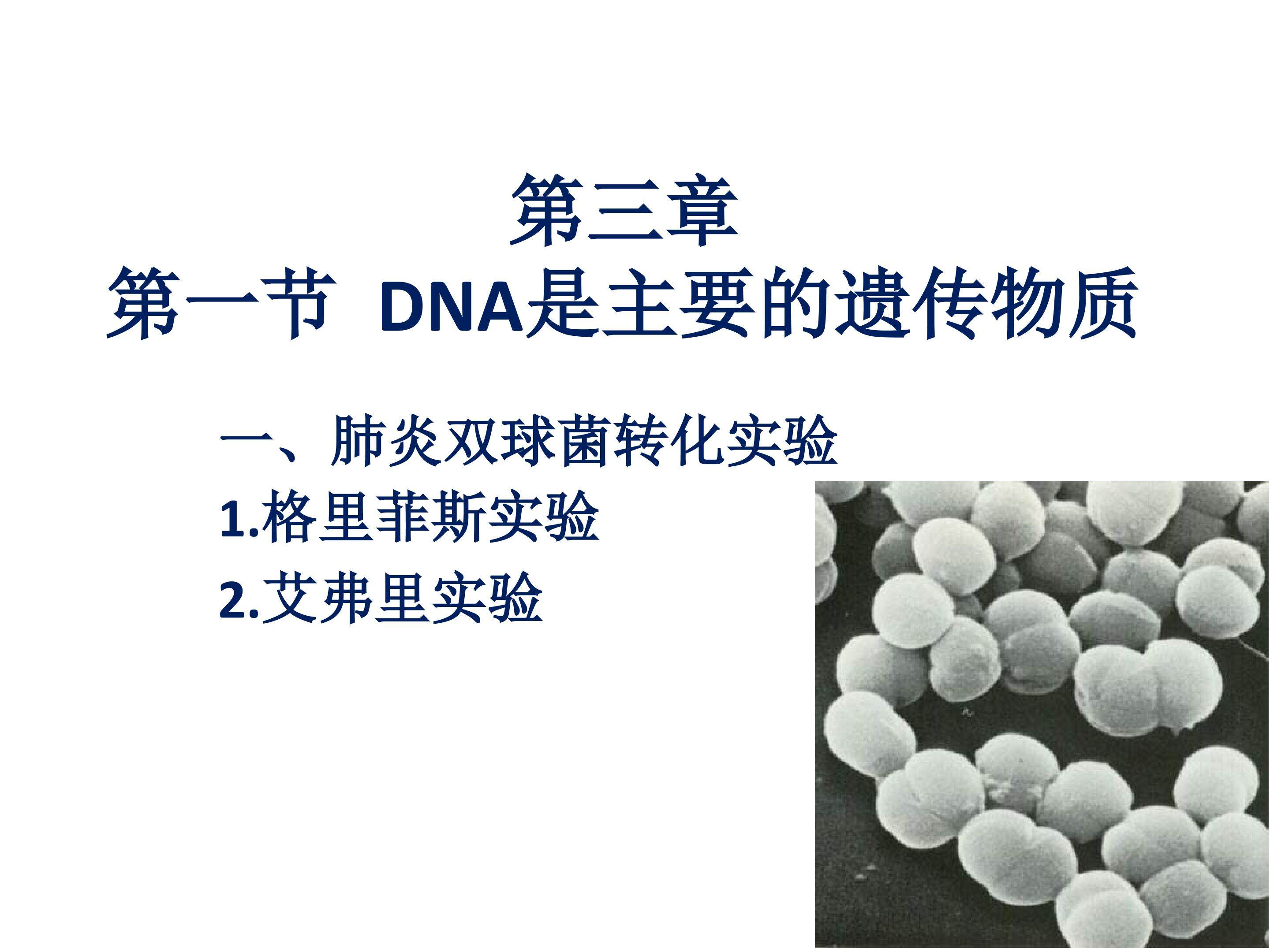 DNA是主要的遗传物质之噬菌体侵染细菌的实验