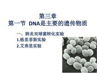 DNA是主要的遗传物质之噬菌体侵染细菌的实验