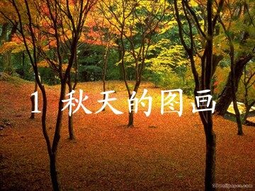1 秋天的图画 