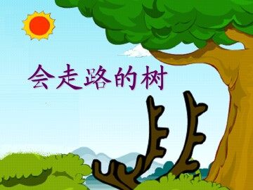会走路的树_课件1