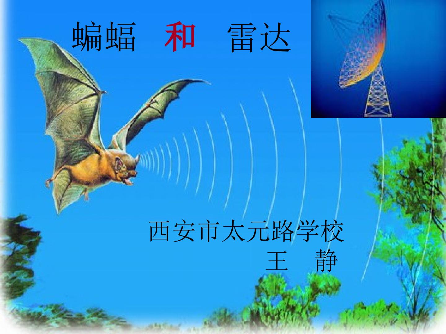 11　蝙蝠和雷达