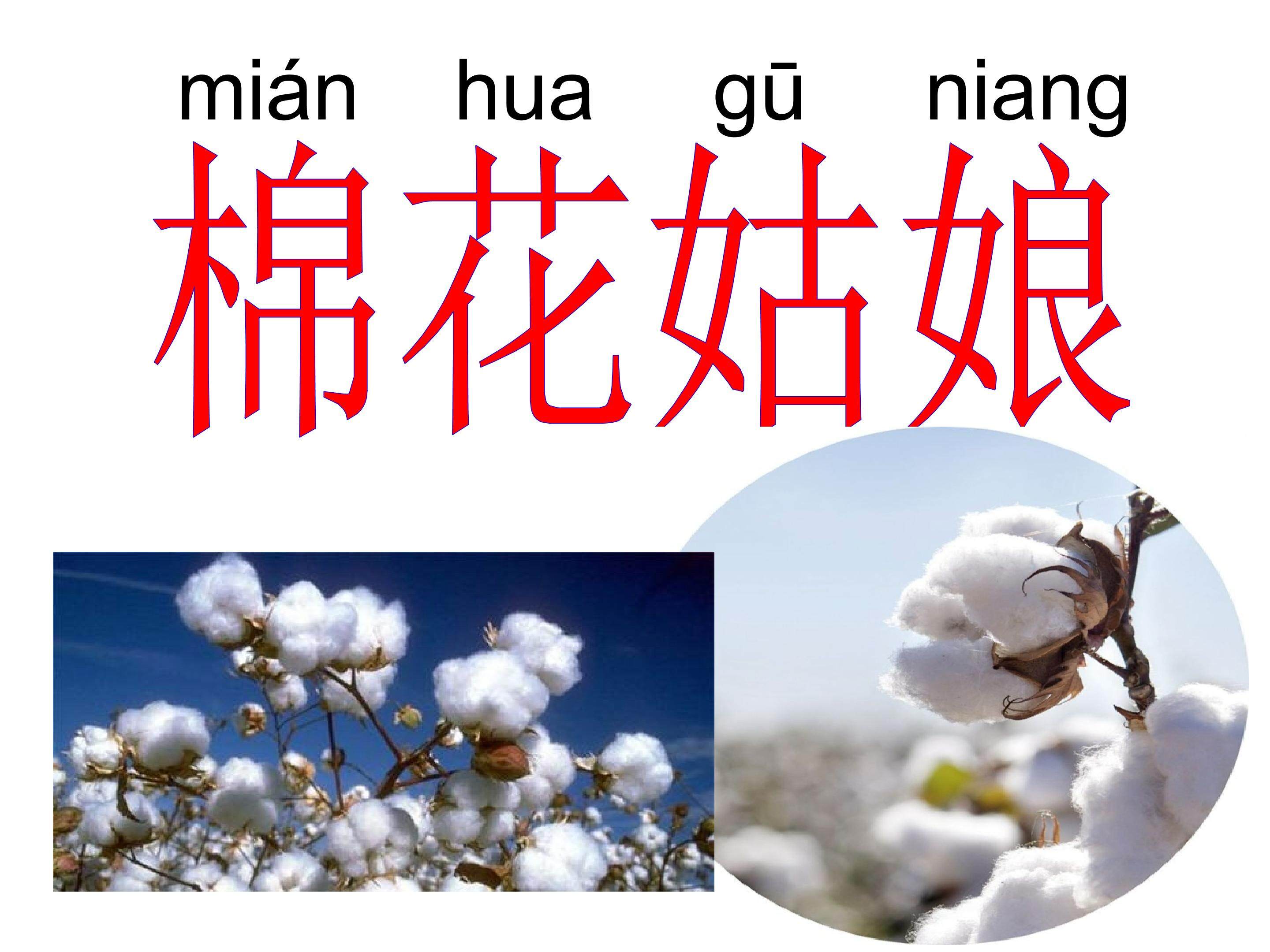 《棉花姑娘》
