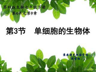 单细胞的生物体