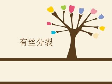 第1节  细胞的增殖