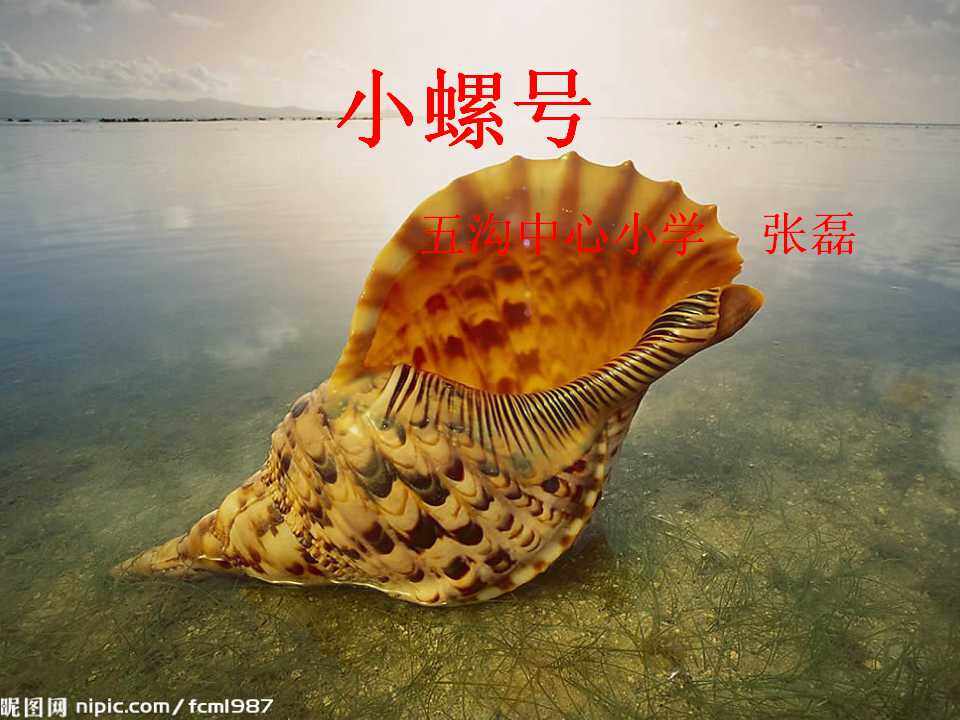 小螺号