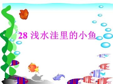 28 浅水洼里的小鱼 