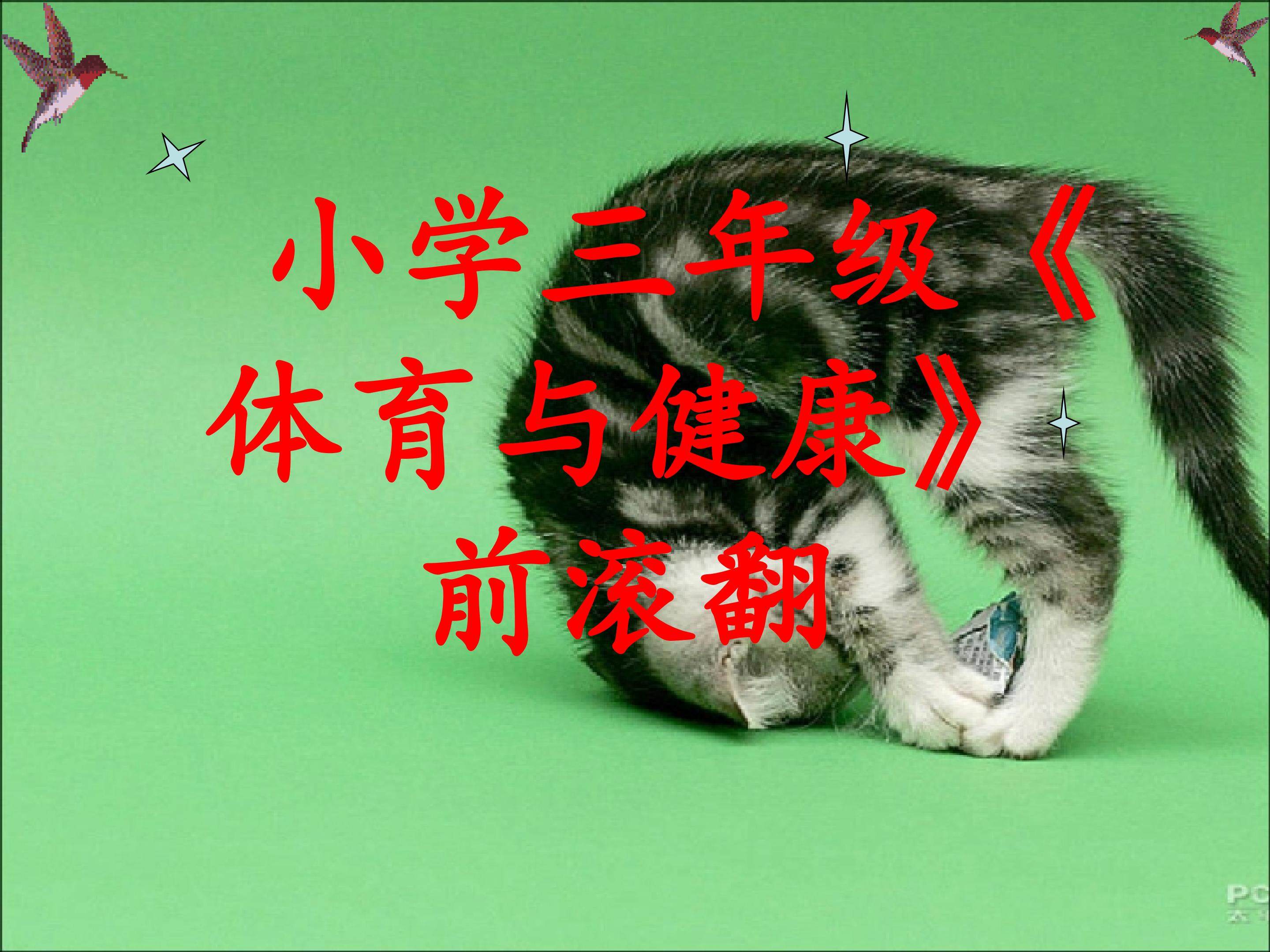 前滚翻