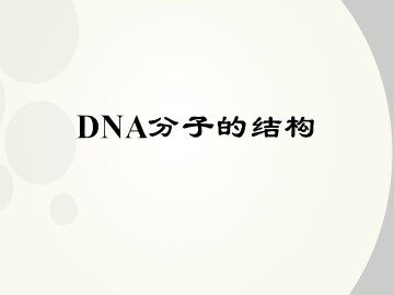 第2节  DNA分子的结构