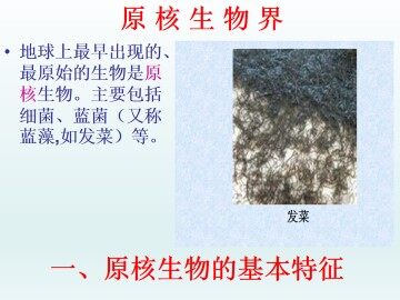 原核生物_课件1