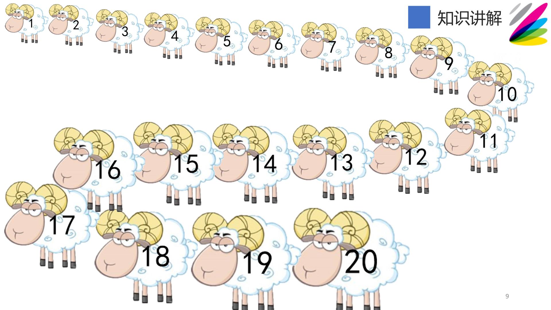 9.jpg