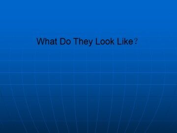What Do They Look Like？_课件1