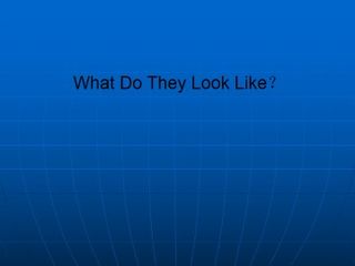 What Do They Look Like?_课件1