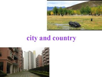 City and Country_课件1