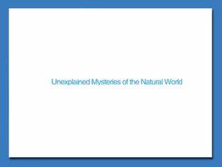 Unexplained Mysteries of the Natural World_课件11