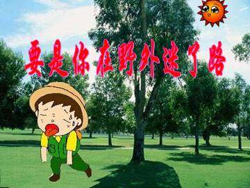 要是你在野外迷了路_课件2