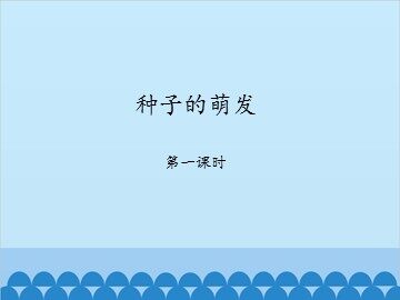 种子的萌发-第一课时_课件1