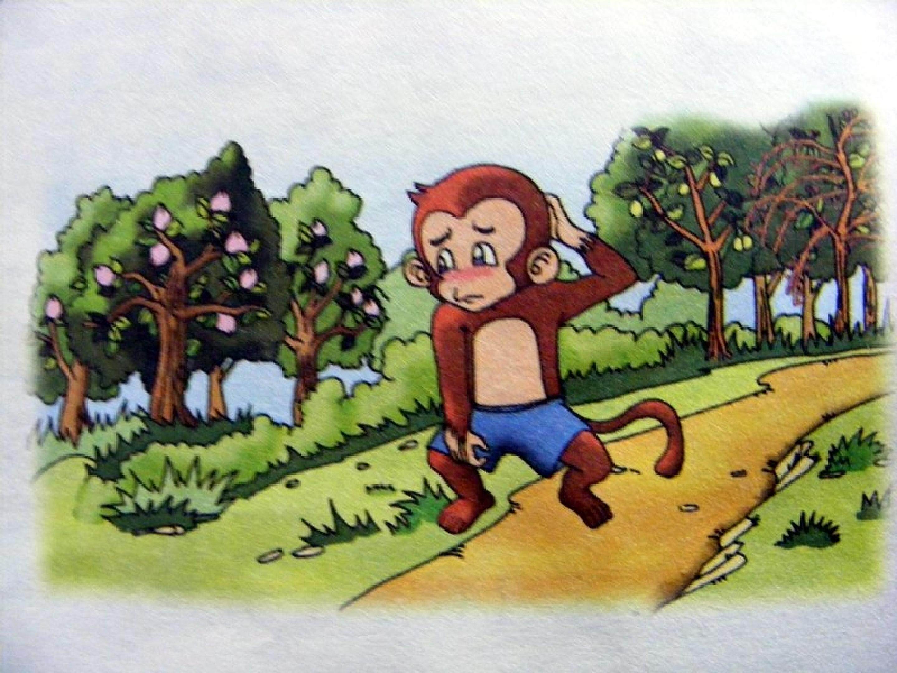 小猴子栽树