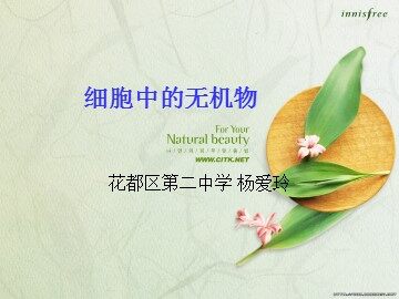 生物高中必修1第二章第五节课件5
