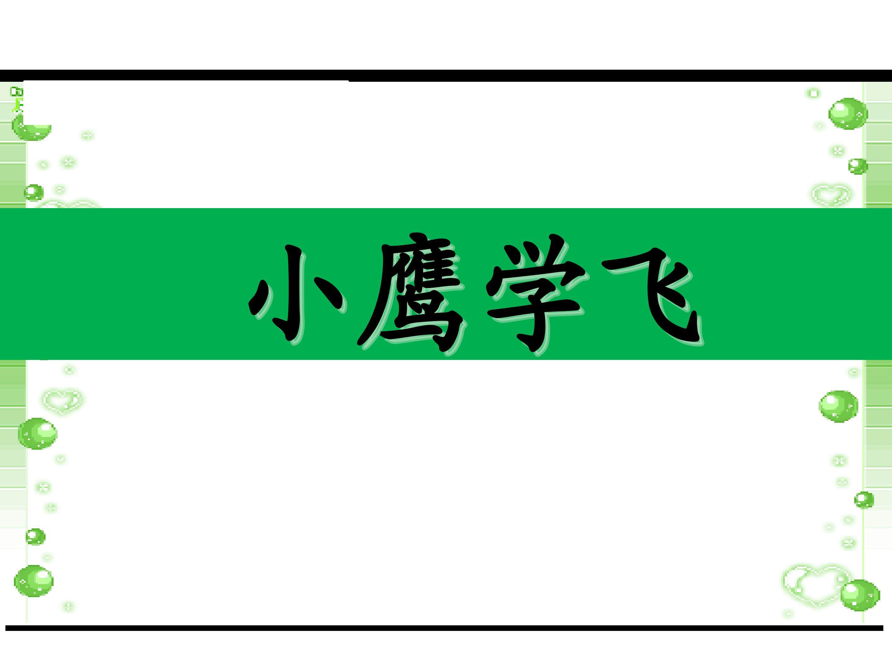 小鹰学飞