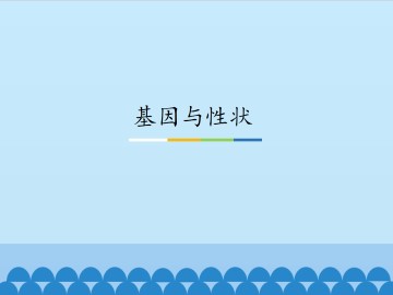 基因与性状_课件1