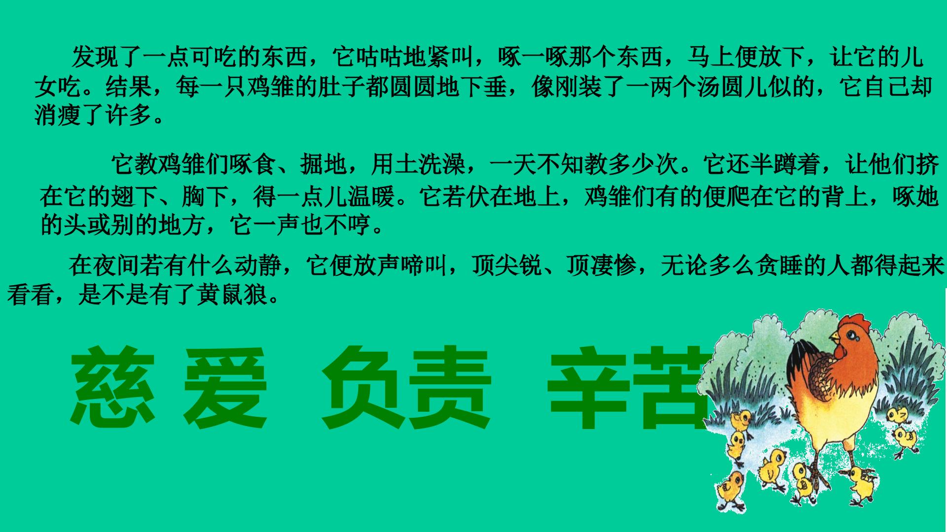 14.jpg