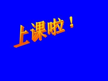 13 花钟