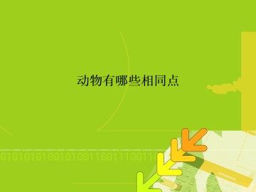 动物有哪些相同特点_课件1