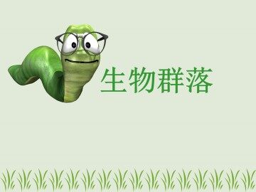 生物群落_课件1