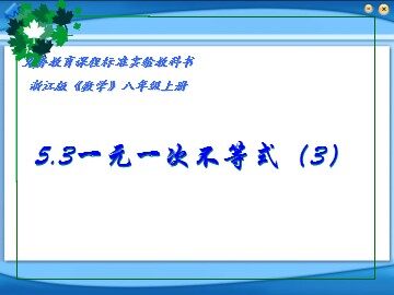 浙教版八上 5.3 一元一次不等式(3) 课件