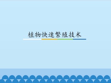 植物快速繁殖技术_课件1