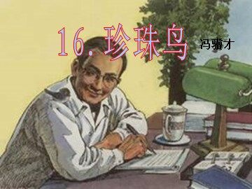 16* 珍珠鸟