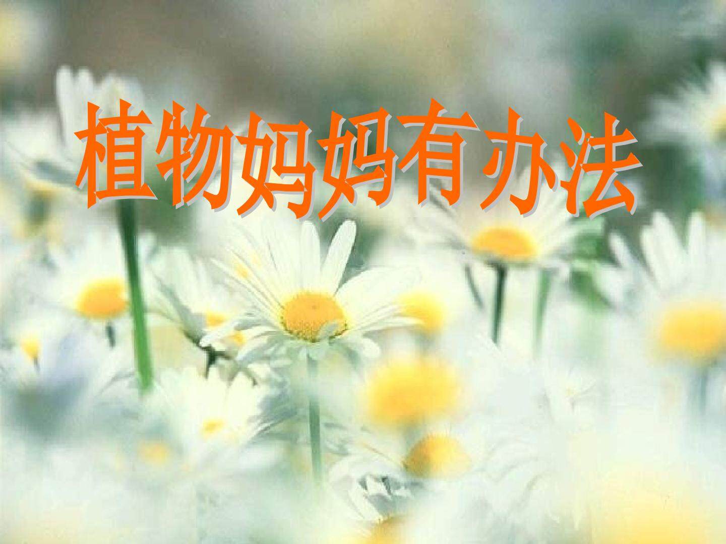 3  植物妈妈有办法