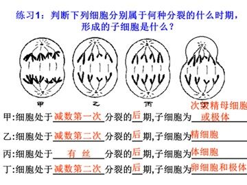 骆嘉敏的疑问