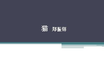 17 猫