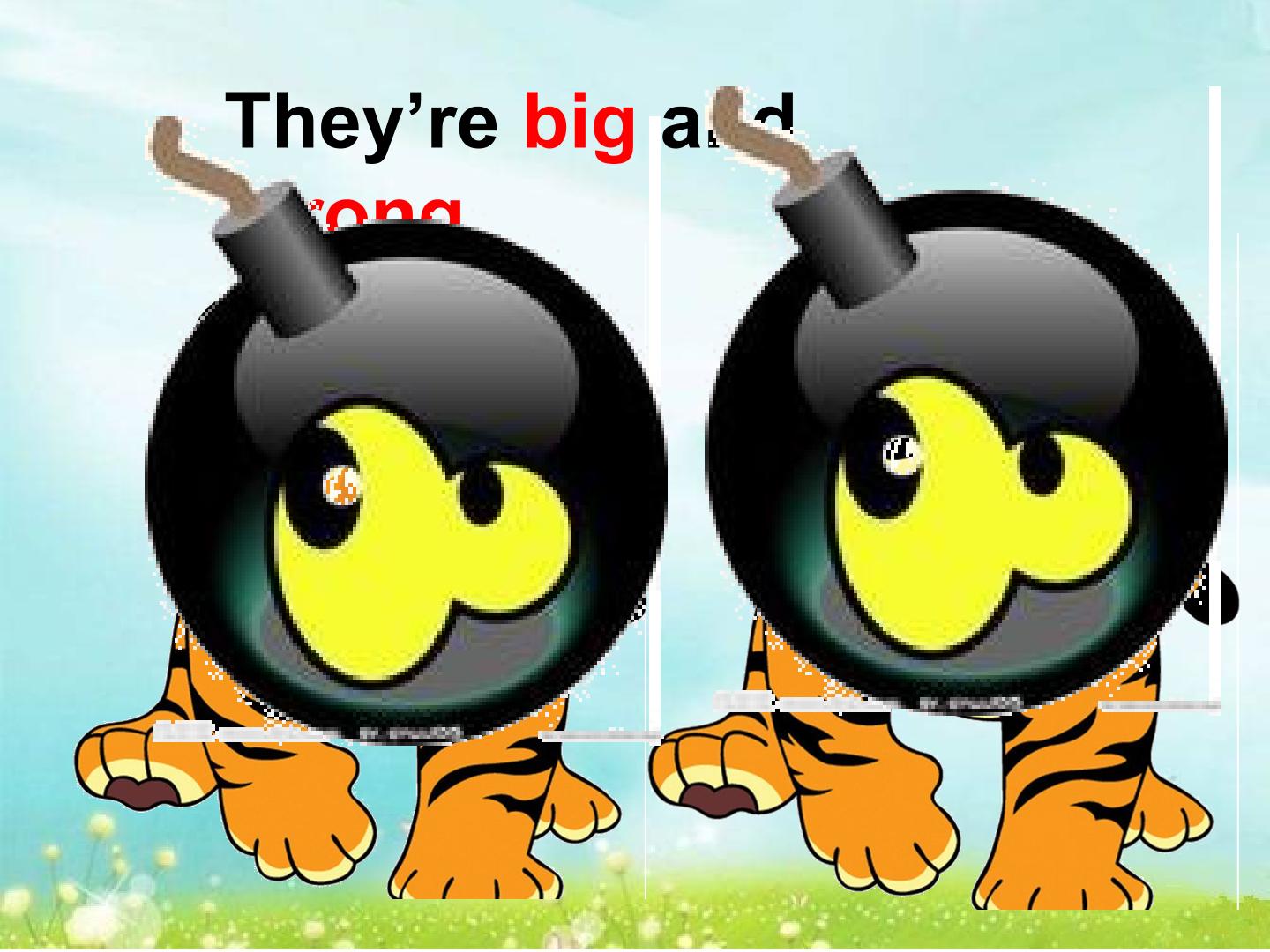 5.jpg