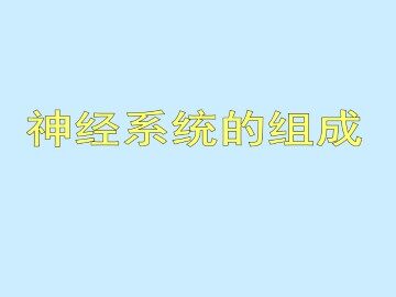 神经系统的组成_课件2