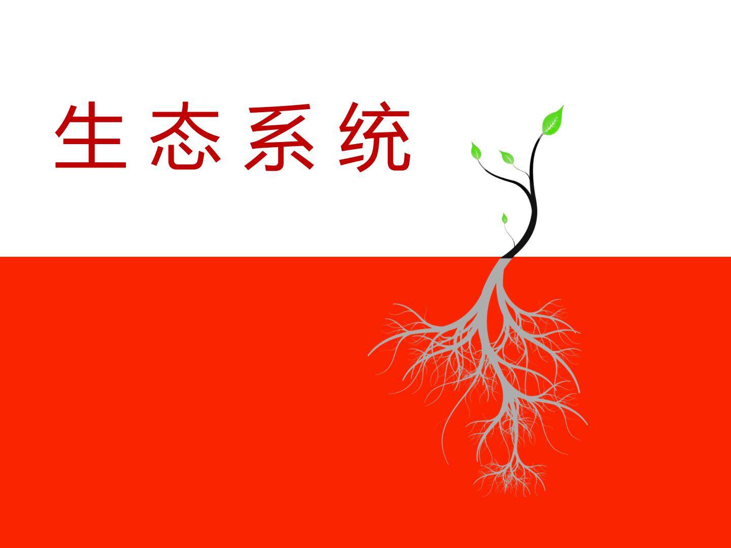 生态系统_课件1