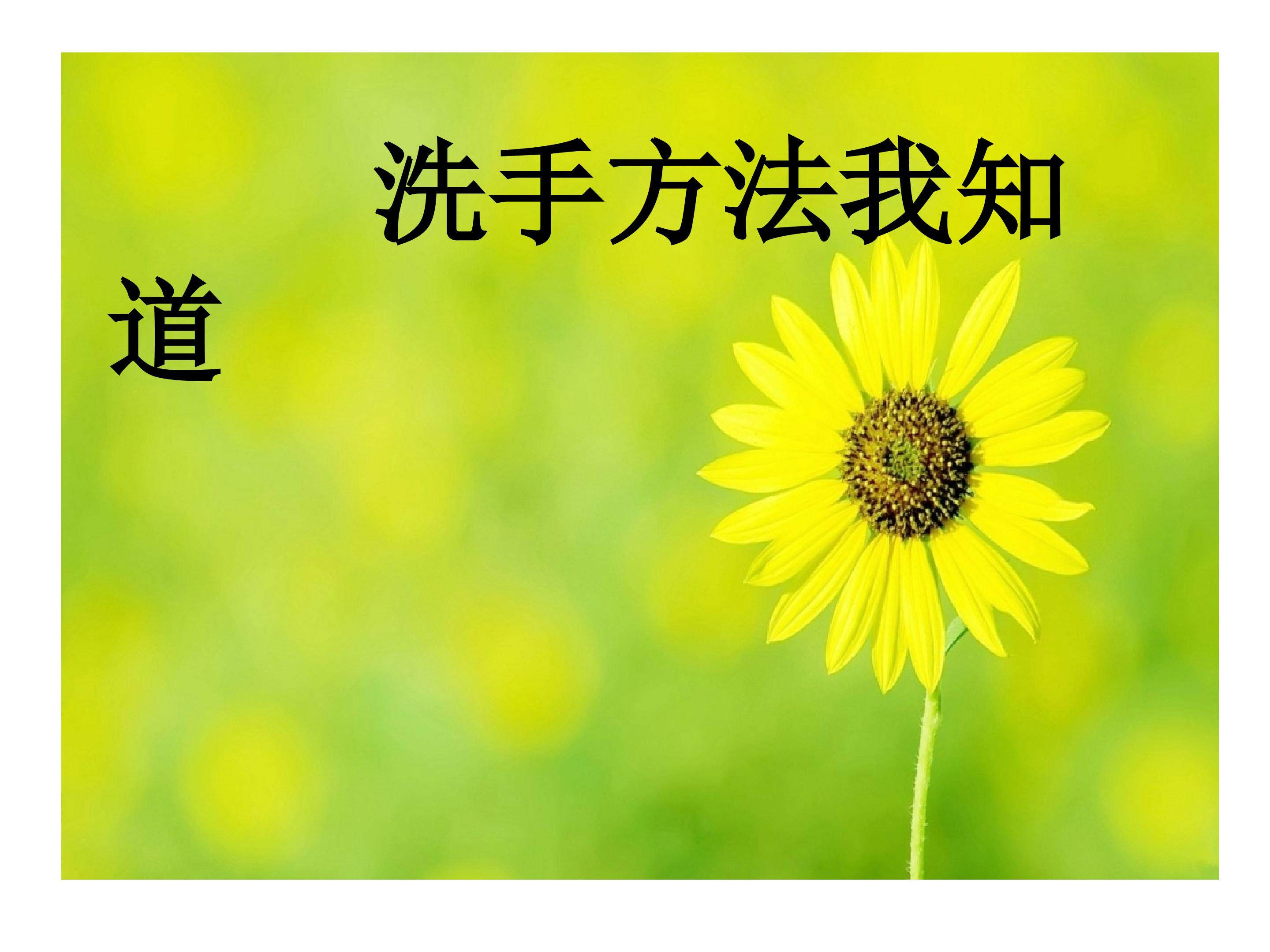 洗手方法我知道