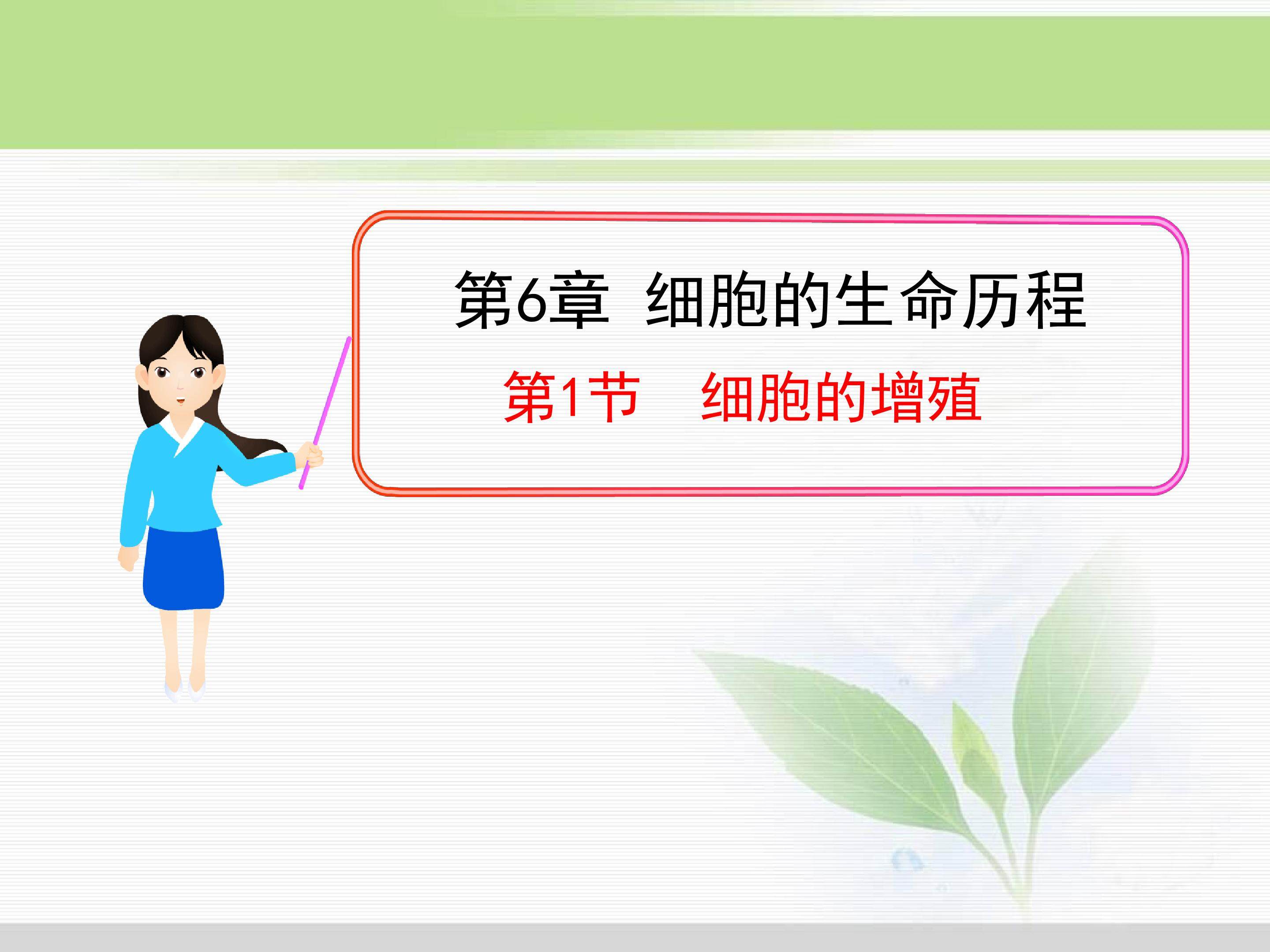 6.1 细胞的增殖