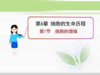 6.1 细胞的增殖