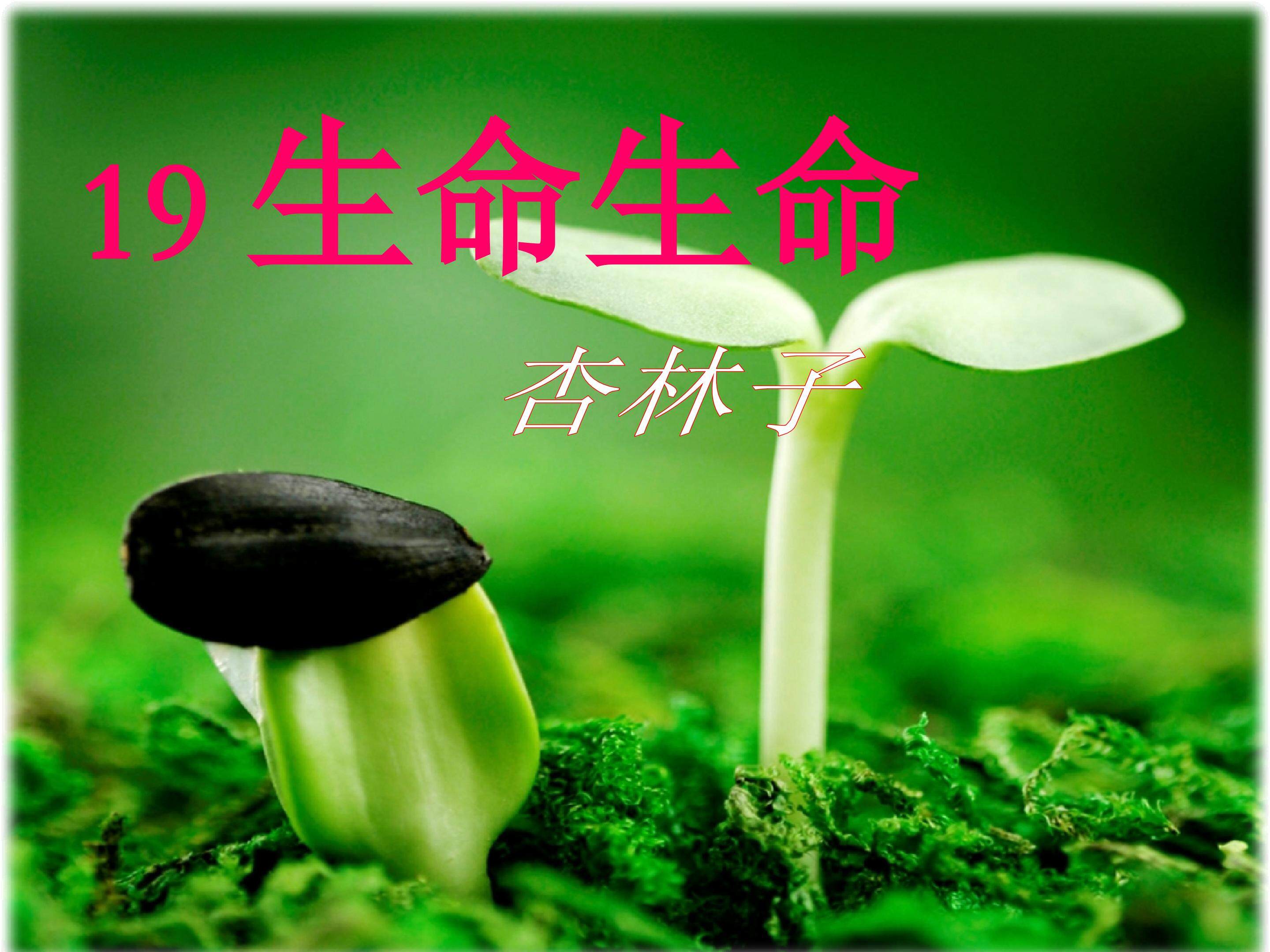 《生命生命》说课-课件