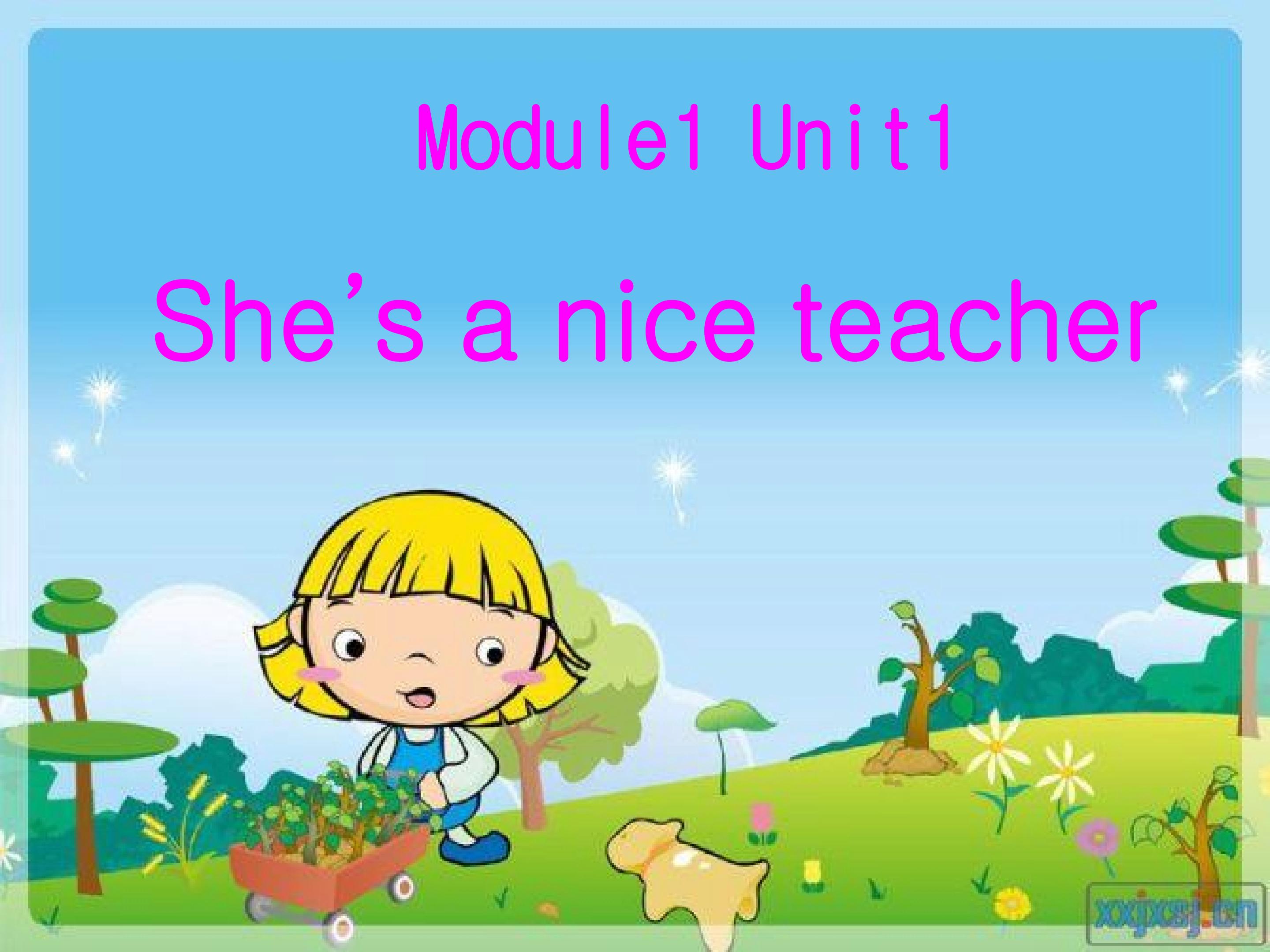 She's a nice teacher 多媒体课件