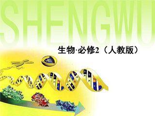 DNA分子结构