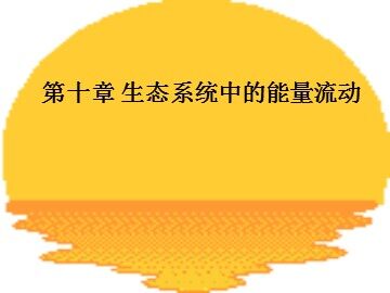 生物高中必修3第五章第二节课件4