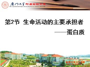 生命活动的主要承担者——蛋白质