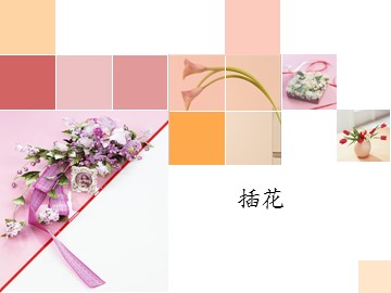 插花_课件1