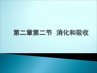 消化和吸收