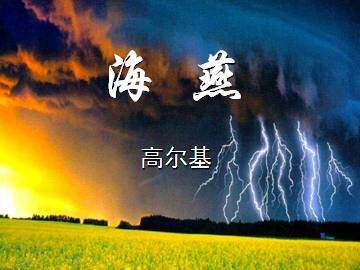 海燕_课件15