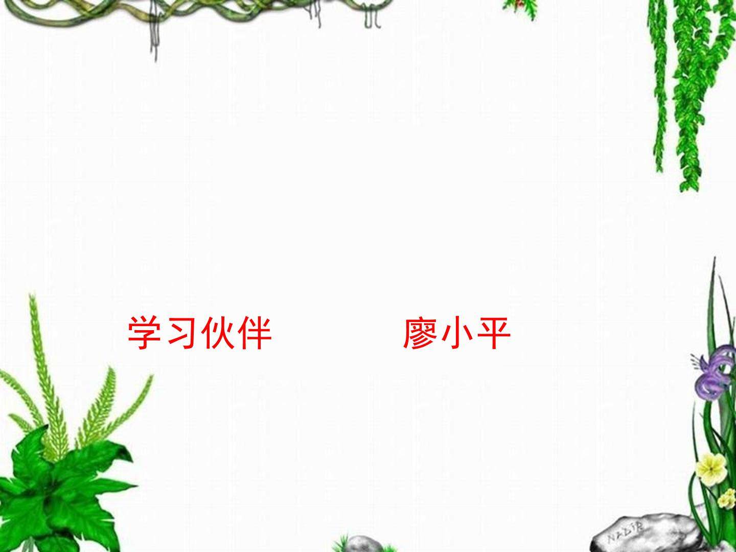 解比例